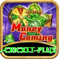 all cricket Pakistan Deluxe v4.1.1