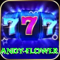 andy flower Master v2.7.1