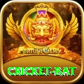 cricket bat Deluxe Pro v4.8.4