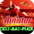 cricket bat Official v4.4.8