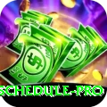 cricket world cup schedule APK Elite v5.3.3