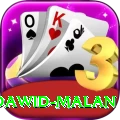 dawid malan Premium Edition v3.4.5