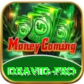 dravid Casino Gold v3.1.2
