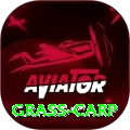grass carp Apps (Tools & Injectors) Max v3.5.3
