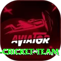 hong kong cricket team Pro Edition v3.0.2