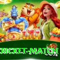 india cricket match Max v2.1.5