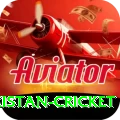 india pakistan cricket Plus v5.6.0