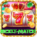 international cricket match VIP v4.4.8