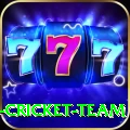 ireland cricket team Pro1 v5.0.6