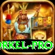 morne morkel Gaming Champion v2.0.2