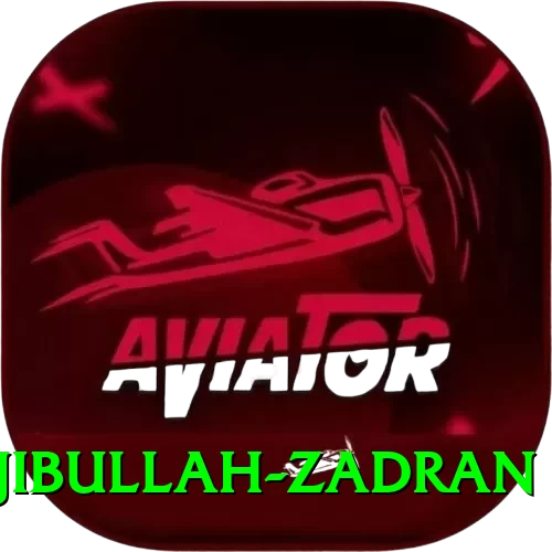 najibullah zadran Max Pro v3.4.2 - 2