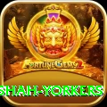 naseem shah yorkers Turbo Pro v2.0.8