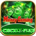 nepal cricket Legend - Free Download