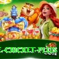 one cricket Game Pro v4.6.2