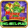 Pakistan Betting Site Slot Machine King