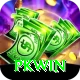 PKWin Pro v5.6.9