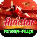 pkwin Plus v2.2.8
