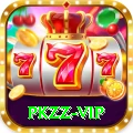 pkzz - Pro v2.0.4