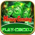 play cricket Pro Edition v5.4.5