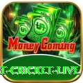 smart cricket live Gold v4.6.7