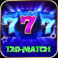 t20 match Gold Edition v5.3.9