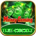 test cricket Gold v5.6.5