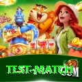 test match Deluxe Pro v5.9.2