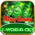 under 19 cricket world cup Pro v1.0.3