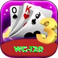 wc t20 Plus Edition v1.9.6
