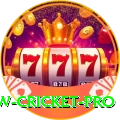 willow cricket - Super v5.5.6