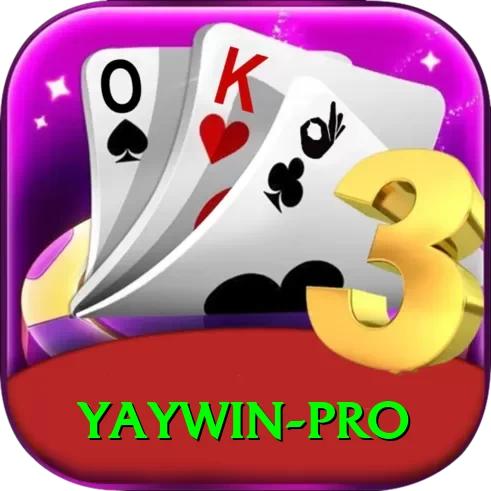 yaywin Live Casino VIP - 2